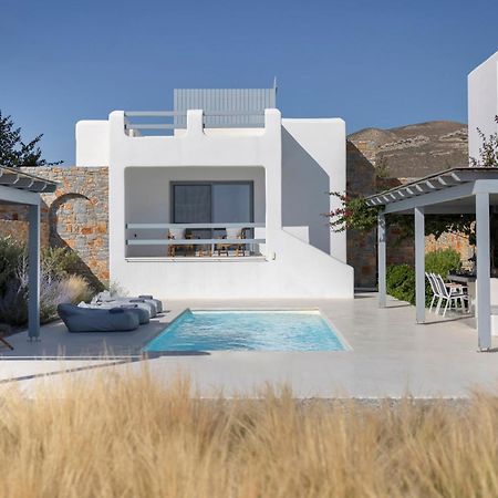 Villa Dione, Private Pool & Seaview By Naxos Dunes Kastrákion Dış mekan fotoğraf